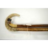 Two horn handled wooden walking stick