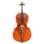 Cello and Bow cased