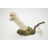 A taxidermy stoat