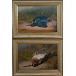 Sir James Hayes-Sadler - A pair of studies of dead birds