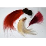 Three late Victorian Birds of Paradise millinery hat decorations