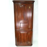 A late 18th /early 19th century fruitwood standing corner cupboard
