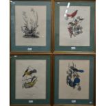 Framed book plate prints of birds after Audobon