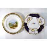 Minton and Copeland Cabinet plates