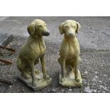 A pair of cast reconstituted stone garden sculptures of seated pointers