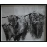 H Bingham? - Study of three Highland cattle