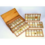 A Victorian set of sixty-five microscope slide prepared specimens