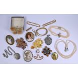 Oval porcelain plaque brooch and other jewellery items