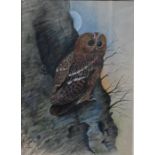 John Wallace - Two watercolours of owls
