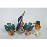 Four various Kingfishers