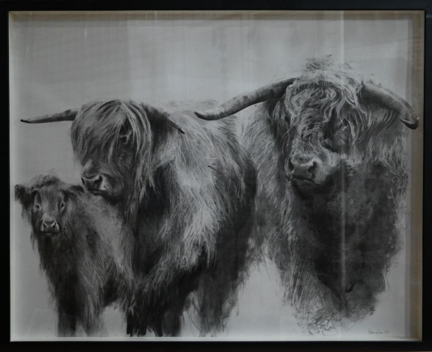 H Bingham? - Study of three Highland cattle - pencil