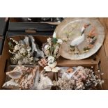 A collection of decorative seashells - some forming floral and bird displays