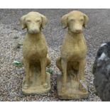 A pair of reconstituted stone cast garden figures of pointers in aged stone finish, 70 cm high