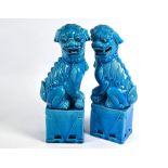 A pair of Chinese turquoise glazed guardian lions, 31 cm high