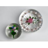 A ltd ed Baccarat glass floral specimen paperweight