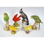 Various porcelain birds