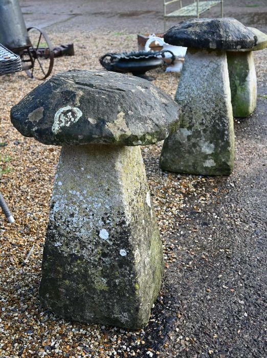 A pair of antique weathered staddle stones and caps - Image 2 of 2