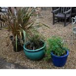 A trio of glazed planters with plants (3)