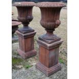 A pair of weathered cast terracotta urns on square plinths