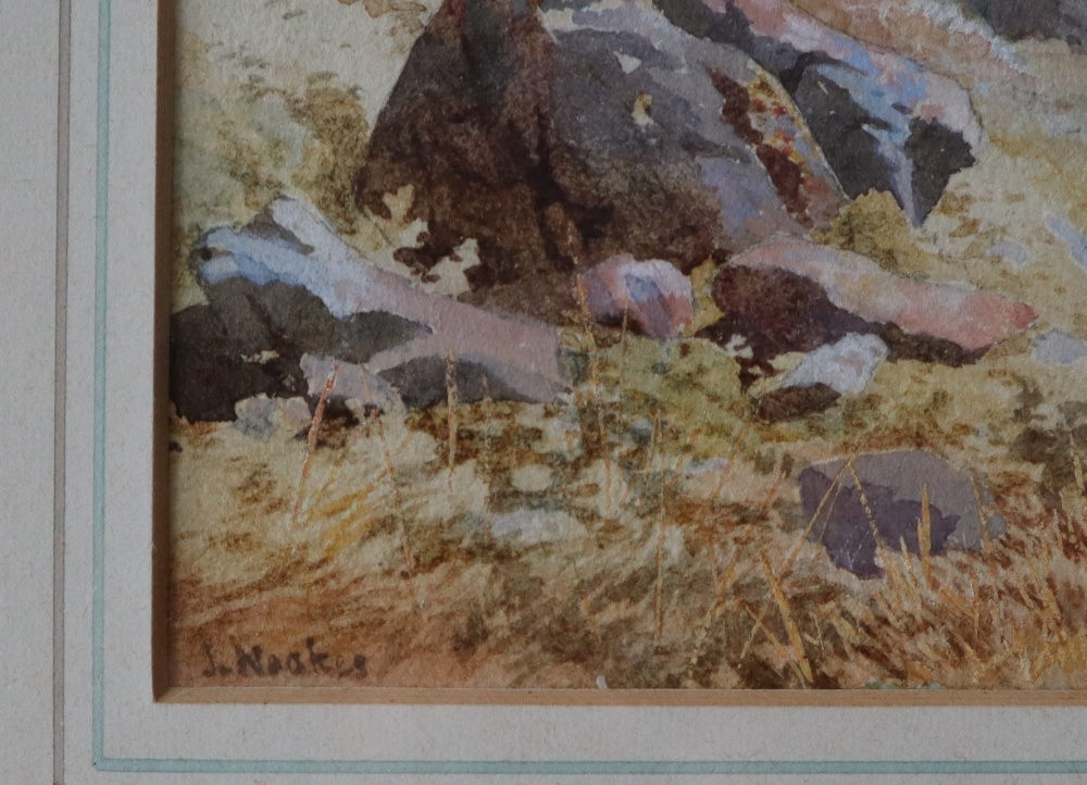 James Noakes Cows resting in a lakeland pasture Watercolour Signed 30 x 45. - Image 2 of 5