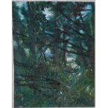Iwan Gwyn Parry Anglesey, Summer Forest Clearing Oil on panel, Signed,