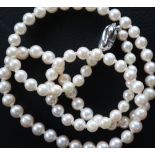 A pearl necklaces.