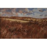 David Tress An autumnal landscape Watercolour Signed and dated 1985 22 x 33cm Together with a