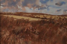 David Tress An autumnal landscape Watercolour Signed and dated 1985 22 x 33cm Together with a