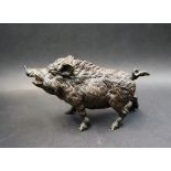 A cold painted bronze sculpture of a wild boar, with mouth agape and tusks on show,