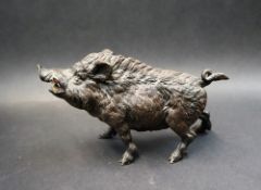 A cold painted bronze sculpture of a wild boar, with mouth agape and tusks on show,