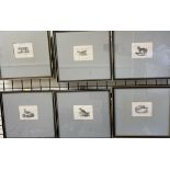 Natural History - a set of six black and white etchings of birds and animals