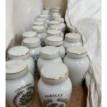 A collection of porcelain spice jars