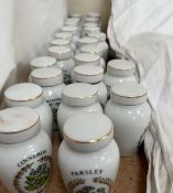 A collection of porcelain spice jars