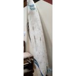 An Alpha recreation surf board and accessories