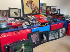 The photography of Doug Fidler (deceased): A very large quantity of mounted exhibition photos and