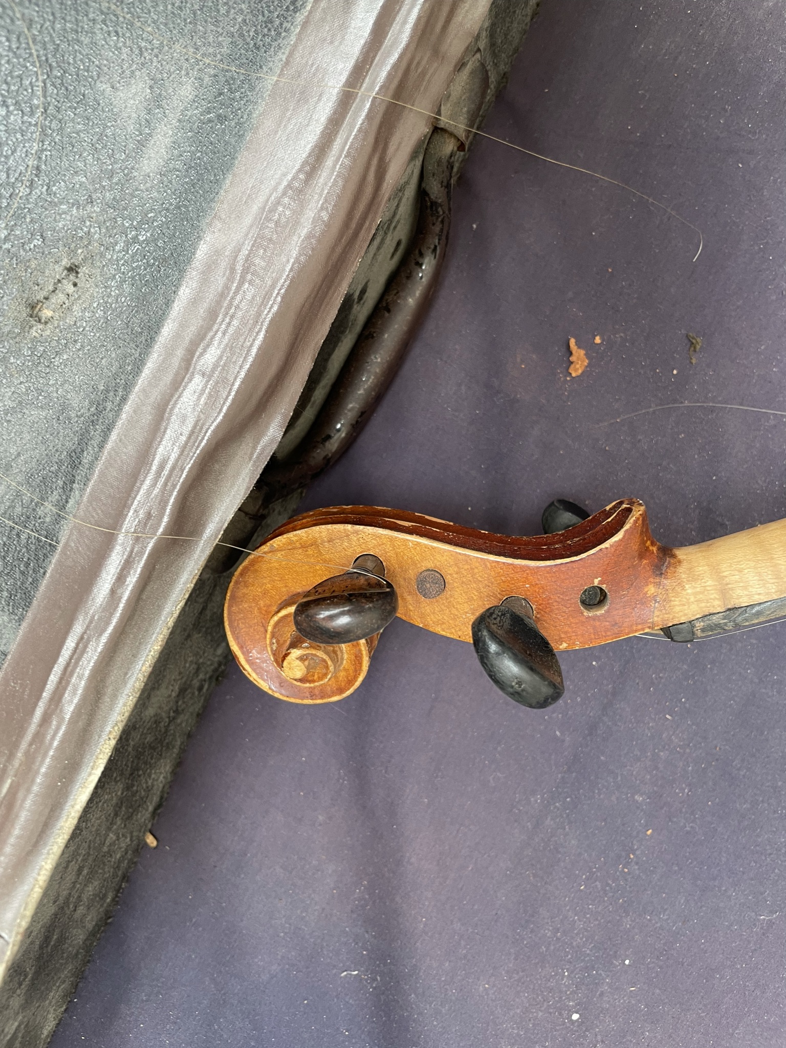 A Violin with a one piece back, - Image 7 of 13