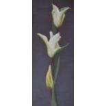 Sigrid Muller White Tulips Mixed Media Signed 83 x 34cm Martin Tinney Gallery Label verso