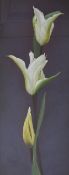 Sigrid Muller White Tulips Mixed Media Signed 83 x 34cm Martin Tinney Gallery Label verso