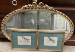 A gilt wall mirror together with a pair of bird prints