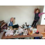 A collection of modern collectable dolls