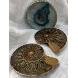 A crystal geode together with two polished ammonites