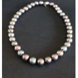 A black pearl necklace, set with thirty seven pearls to a 14ct gold ball clasp,
