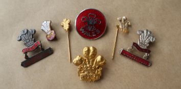 Prince of Wales feathers pin badge together with a collection of enamel badges