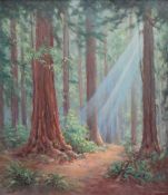 Frank Montague Moore A woodland with sunlight streaming through Oil on board Signed 80 x70cm