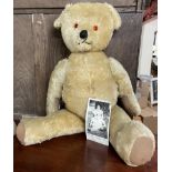 A large mid 20th century large mohair Teddy bear with jointed limbs and a copy of a photograph from