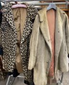 A Wallis faux leopard skin coat together with a faux fur coat