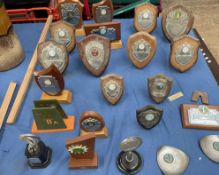 A collection of tennis trophies