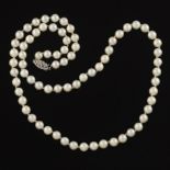 Ladies' Gold and Pearl Single-Strand Necklace