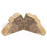 Prehistoric Agatized Petrified Wood Book Ends