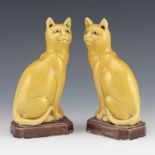 Two Chinese Kangxi Style Porcelain Cat Figurines